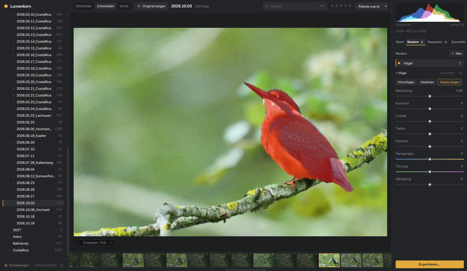 Kingfisher selected with an AI mask, shown in red