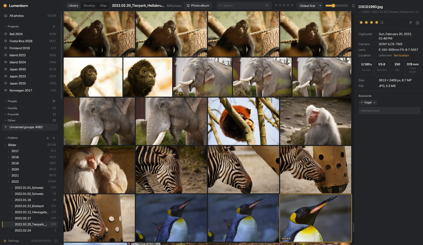 Library with animal photos from a zoo, a penguin selected, its camera data on the right